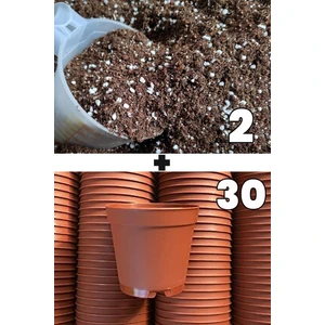 Toptan Kaktüs 2 Litre Kaktüs Sukulent Yetiştirme Toprağı ve 30 Adet 5.5 cm Kaktüs Sukulent Saksısı
