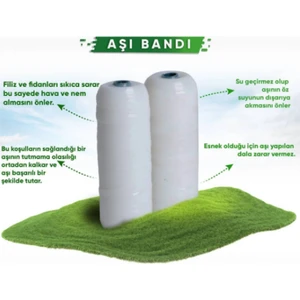 Aşı Bandı (1 Kg) 5 Rulo