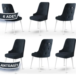 Concept Enoa Serisi  Babyface Kumaş Sandalye Beyaz Gürgen Ayaklı  6 Adet Sandalye Gümüş Halkalı