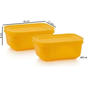 Alaska Kap 450 ml 2'li Buzluk Saklama Kabı Turuncu