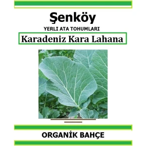 Yerli Karalahana Tohumu Doğal Ata Kara Lahana Tohum Pakette 5 gr  Tohum + Hediye Sebze Tohumu