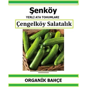 Yerli Çengelköy Salatalık Tohumu Doğal Ata Tohum Pakette 20 Tohum + Hediye Sebze Tohumu