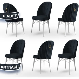 Concept Canisa Ritim Serisi, 1.sınıf Babyface Ithal Kumaş, 6 Adet Sandalye, Beyaz Gürgen Ayak, Gold Halkalı