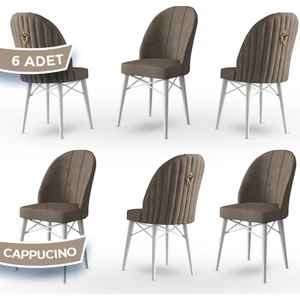 Concept Canisa Ritim Serisi, 1.sınıf Babyface Ithal Kumaş, 6 Adet Sandalye, Beyaz Gürgen Ayak, Gold Halkalı