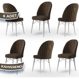 Concept Canisa Ritim Serisi, 1.sınıf Babyface Ithal Kumaş, 6 Adet Sandalye, Beyaz Gürgen Ayak, Gold Halkalı