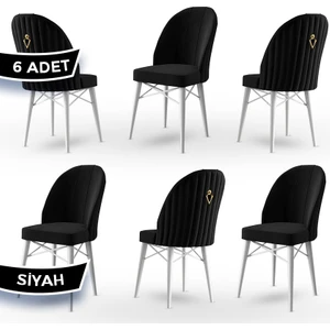 Concept Canisa Ritim Serisi, 1.sınıf Babyface Ithal Kumaş, 6 Adet Sandalye, Beyaz Gürgen Ayak, Gold Halkalı