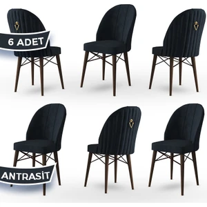 Concept Ritim Serisi, Babyface Kumaş, 6 Adet Sandalye, Ceviz Gürgen Ayak, Gold Halkalı