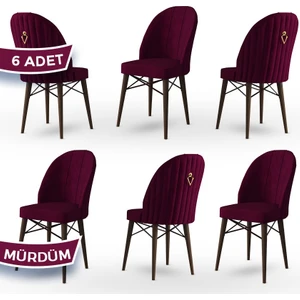 Concept Ritim Serisi, Babyface Kumaş, 6 Adet Sandalye, Ceviz Gürgen Ayak, Gold Halkalı