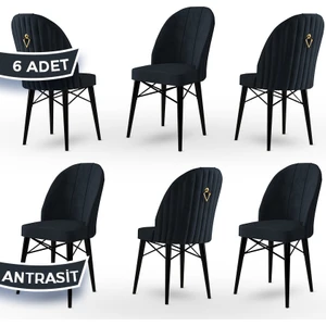 Concept Ritim Serisi, Babyface Kumaş,  6 Adet Sandalye, Siyah Gürgen Ayak, Gold Halkalı