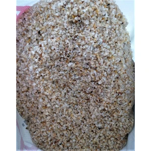 Kadir Tarım 1 kg Bej Rengi Akvaryum Kumu Bej Bitki Kumu Orjinal Bej Akvaryum Bitki Kumu 1-3 mm