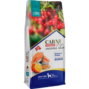 Life Carni Dog Adult Mini Somon/portakal Köpek Maması  7 kg