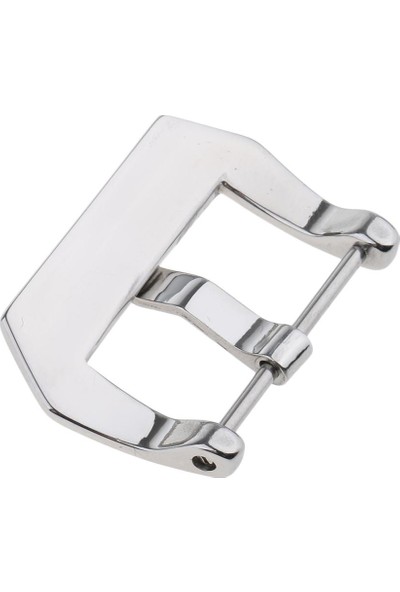 Cilalı Kaplama Paslanmaz Bant Kayış Toka Pin Vidası Toka 24 mm