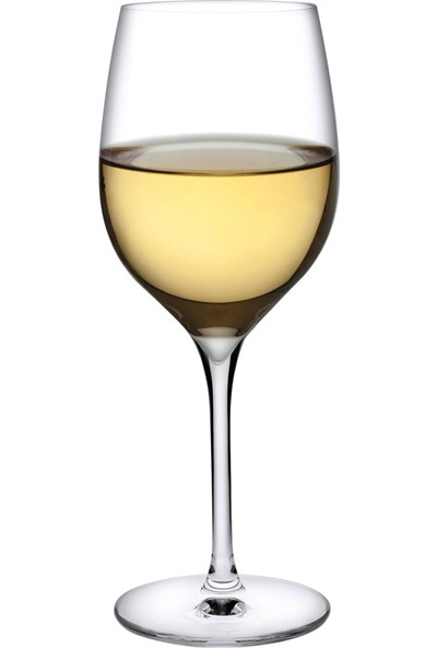 Nude Terroir Ikili Beyaz Şarap Kadehi Seti