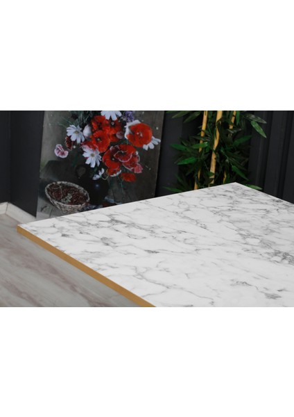 70 x 120 cm Katlanır Masa Kamp Masası Karavan Masası Mutfak Masası Balkon Masası Çalışma Masası Beyaz