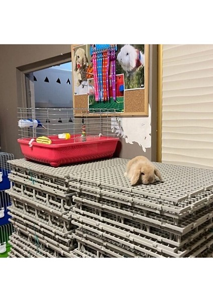 50X50 Ölçü Plastik Tavşan Kafesi Taban Izgarası 2 M2 8 Adet fiyatları