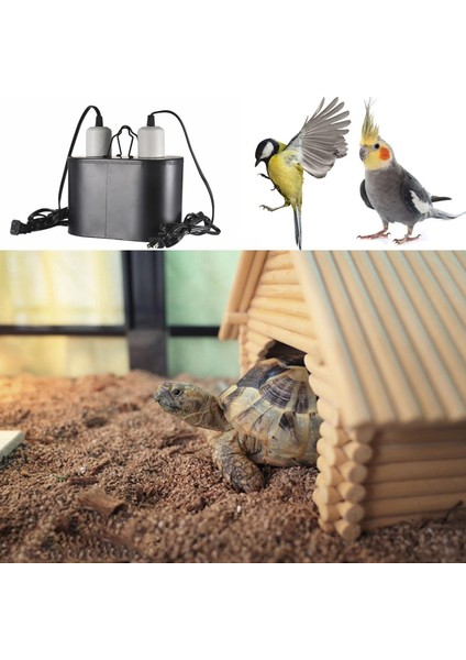 Sürüngen Işık Fikstür Kubbesi Çift Lamba Fikstürü Uva Uvb Isı Lambası Için Tropikal (Yurt Dışından) modelleri