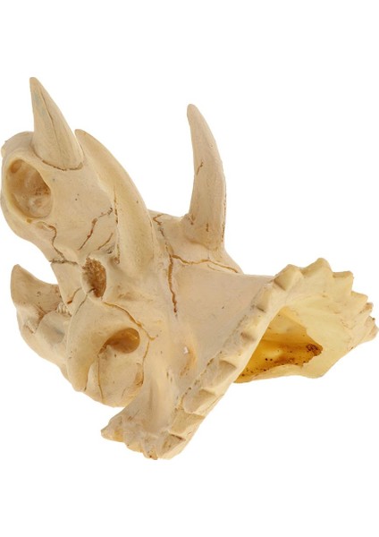 Sürüngen Terraryum Dekor Vivarium Süsleme Örümcek Mağara Reçine Kafatası Triceratops (Yurt Dışından)