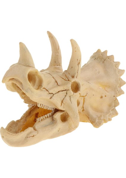 Sürüngen Terraryum Dekor Vivarium Süsleme Örümcek Mağara Reçine Kafatası Triceratops (Yurt Dışından) fiyatları