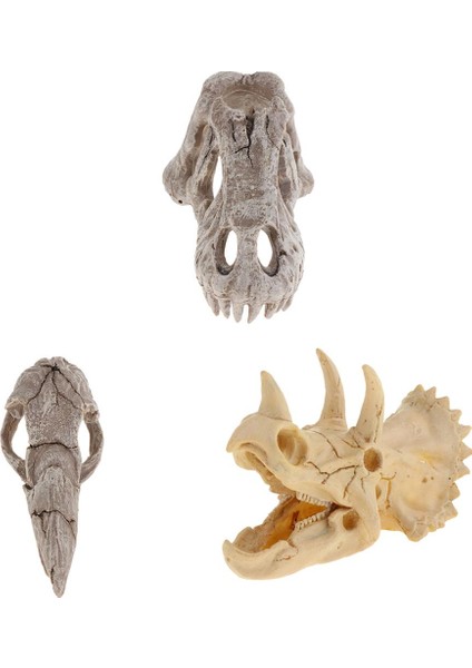 Sürüngen Terraryum Dekor Vivarium Süsleme Örümcek Mağara Reçine Kafatası Triceratops (Yurt Dışından) modelleri