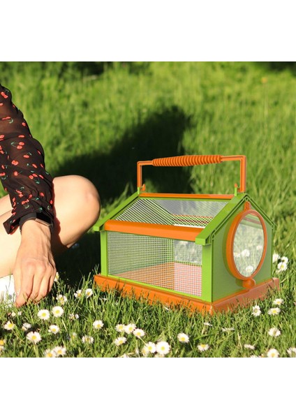 Taşınabilir Kelebek Habitat Kafesi Yaratığı Açık Dış Mekan Çıkarılabilir Çocuklar Yeşil Turuncu (Yurt Dışından) fiyatları
