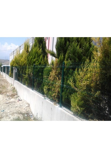 120x250 cm Panel Çit Teli Yeşil