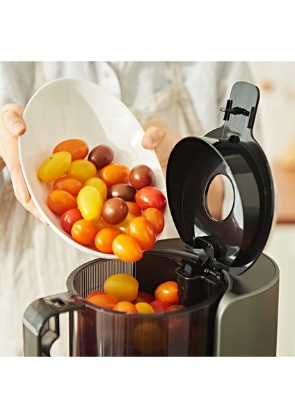 Slow Juicer Katı Meyve Sıkacağı - Gri