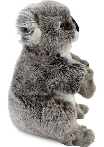 Animals Of The World Koala Kukla (Tüm Beden) 26 cm