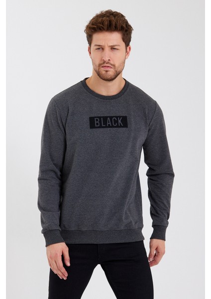 Black 3D Baskılı Standart Fit Erkek Ince Sweatshirt Antrasit