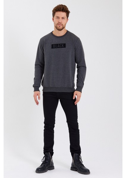 Black 3D Baskılı Standart Fit Erkek Ince Sweatshirt Antrasit