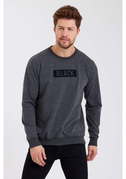 Black 3D Baskılı Standart Fit Erkek Ince Sweatshirt Antrasit