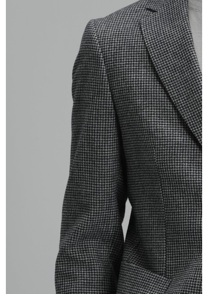 Alex Spor Erkek Blazer Ceket Slim Fit Antrasit modelleri