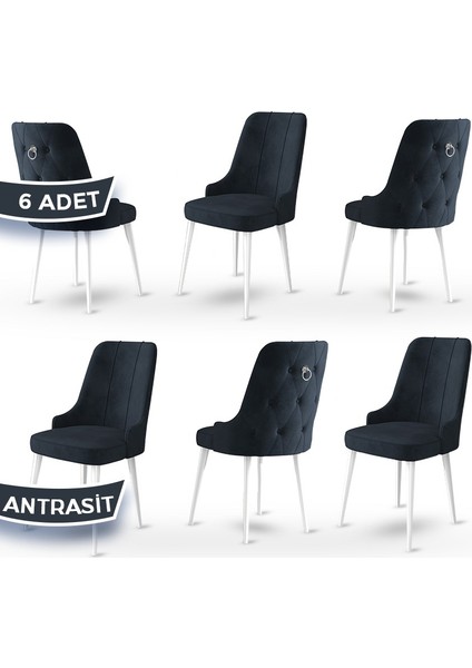 Concept Enoa Serisi Babyface Kumaş Sandalye Beyaz Gürgen Ayaklı 6 Adet Sandalye Gümüş Halkalı