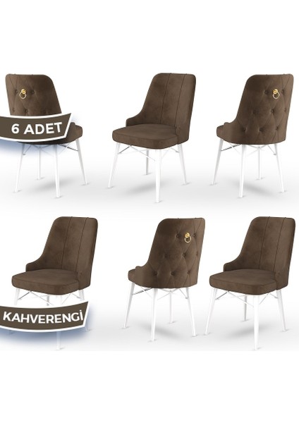 Concept Pare Serisi Babyface Ithal Kumaş 6 Adet Sandalye Beyaz Gürgen Ayak Gold Halkalı