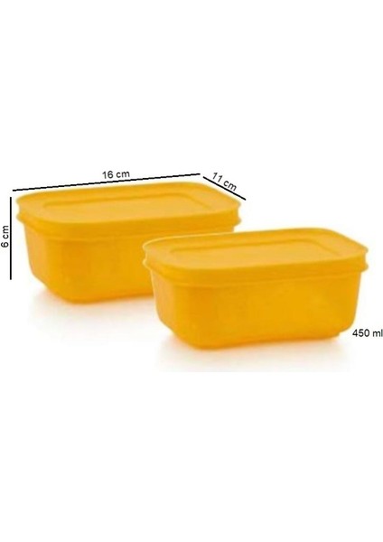 Alaska Kap 450 ml 2'li Buzluk Saklama Kabı Turuncu