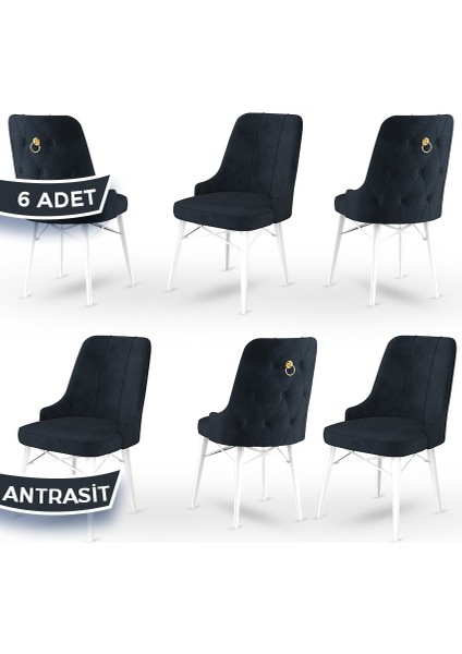 Concept Pare Serisi Babyface Ithal Kumaş 6 Adet Sandalye Beyaz Gürgen Ayak Gold Halkalı