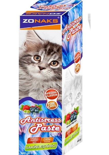 Antistress Kedi Macunu modelleri