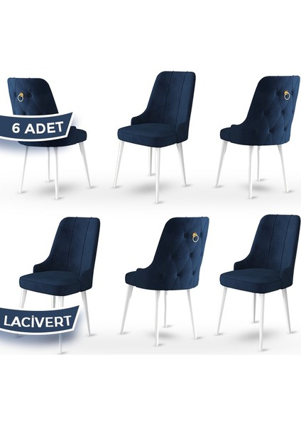 Concept Enoa Serisi Babyface Kumaş Sandalye Beyaz Gürgen Ayaklı 6 Adet Sandalye Gold Halkalı