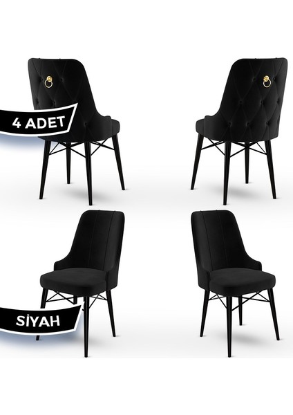 Concept Pare Serisi Babyface Ithal Kumaş 4 Adet Sandalye Siyah Gürgen Ayak Gold Halkalı