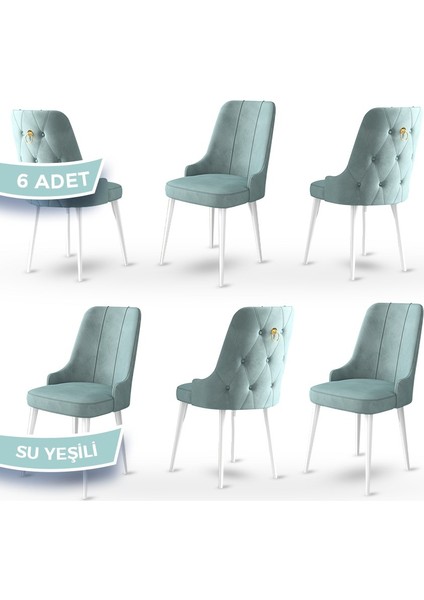 Concept Enoa Serisi Babyface Kumaş Sandalye Beyaz Gürgen Ayaklı 6 Adet Sandalye Gold Halkalı