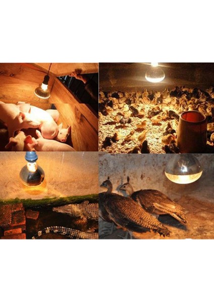 Pet Sürüngen Yetiştirme Isı Lambası Ampul Kızılötesi Isıtıcı ## 4 (Yurt Dışından)