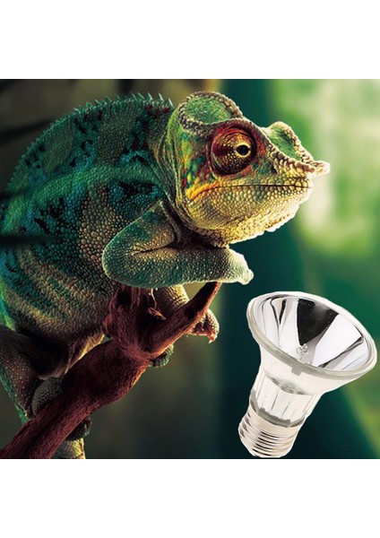 Full Uva Uvb Sunlamp 25W (Yurt Dışından)