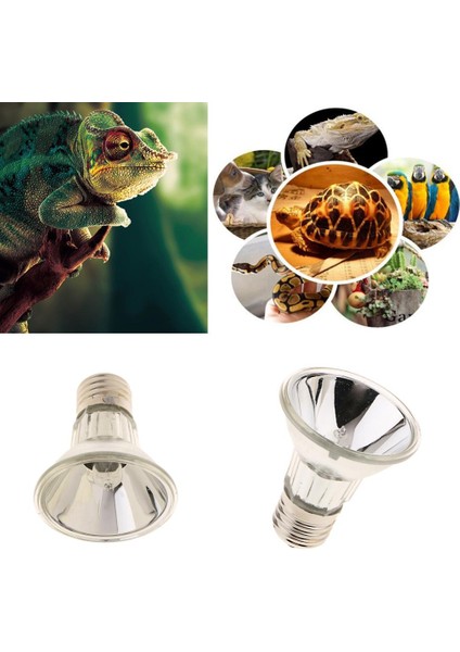 Full Uva Uvb Sunlamp 25W (Yurt Dışından)