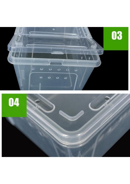 Kaplumbağa Örümcek Için Plastik Sürüngen Denetleme Mağarası - Clear, 25X17.5X11CM (Yurt Dışından) fiyatları