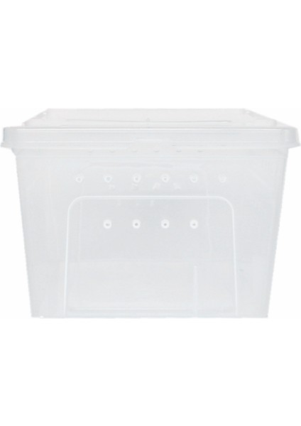 Kaplumbağa Örümcek Için Plastik Sürüngen Denetleme Mağarası - Clear, 25X17.5X11CM (Yurt Dışından) fırsatları