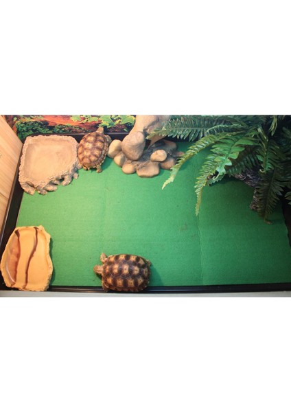 Terraryum Kaplumbağaları Için Sürüngen Kafes Halı Pedi 80X40CM (Yurt Dışından)