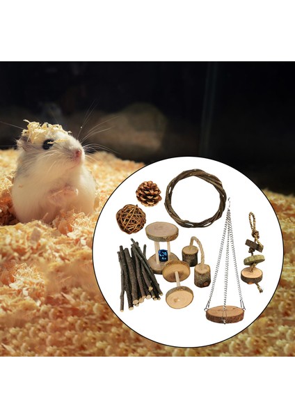Hamster Tavşan Çiğneme Oyuncakları Set Gine Oyuncakları Bakım Evcil Hayvan Malzemeleri E (Yurt Dışından) fırsatları