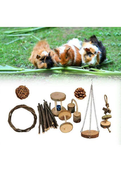 Hamster Tavşan Çiğneme Oyuncakları Set Gine Oyuncakları Bakım Evcil Hayvan Malzemeleri E (Yurt Dışından) indirimleri