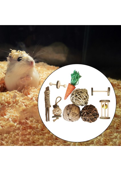 Hamster Tavşan Çiğneme Oyuncakları Set Gine Oyuncakları Bakım Evcil Hayvan Malzemeleri J (Yurt Dışından)