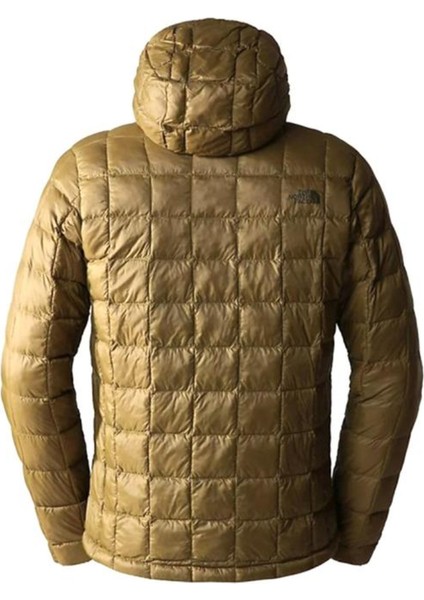 The North Face Thermoball Eco Hoodie 2.0 Erkek Yeşil Kapüşonlu Mont