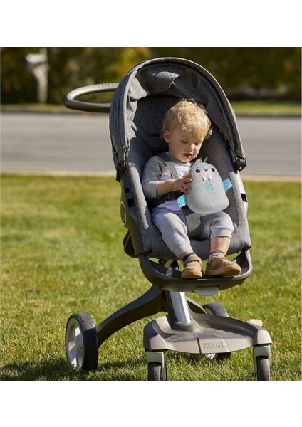 Fisher Price Uyku Arkadaşım Sevimli Mors GRT91 indirimleri